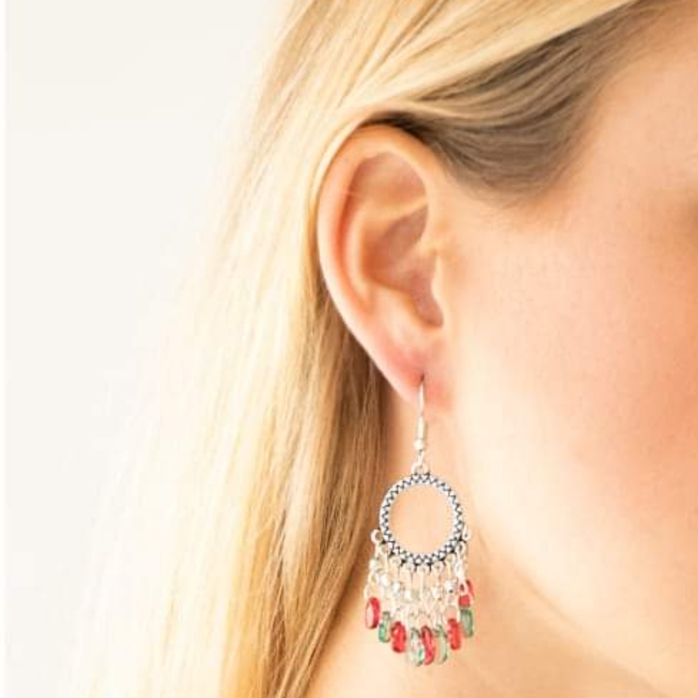 Multi Colored Earrings